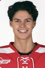 Brandon Svoboda, Hockey, undefined