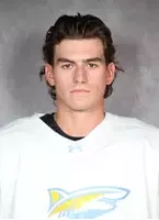 Garrett Valk, Hockey, Long Island University