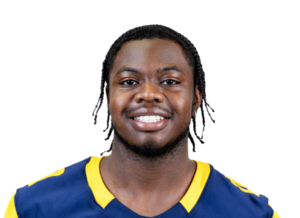 Ali Fisher, Football, undefined