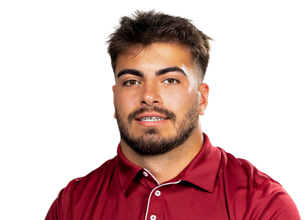 Cookie Desiderio, Football, undefined