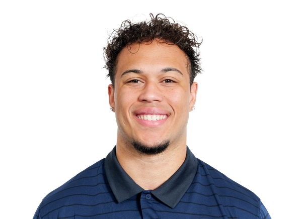 Caleb Wheatland, Football, Michigan State University