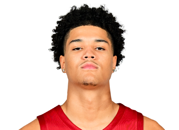 Dominik Robinson, Basketball, undefined
