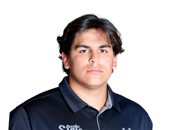 Hayden Harlan, Football, undefined