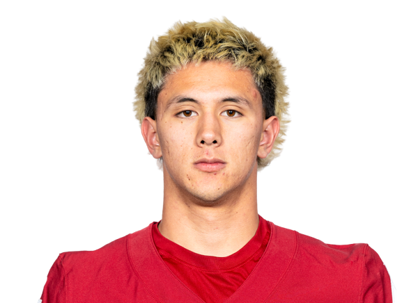 Kai Rapolla, Football, undefined