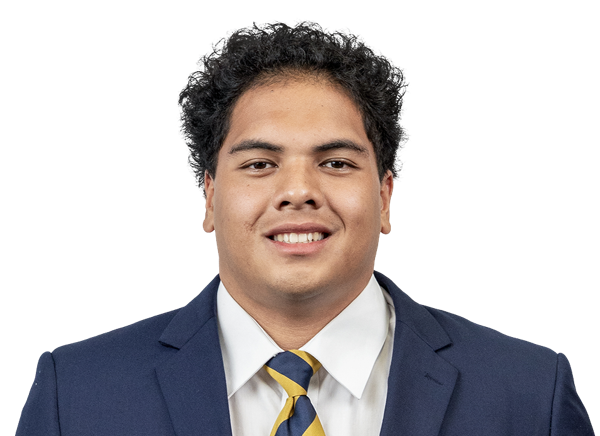 LeBron Williams, Football, undefined