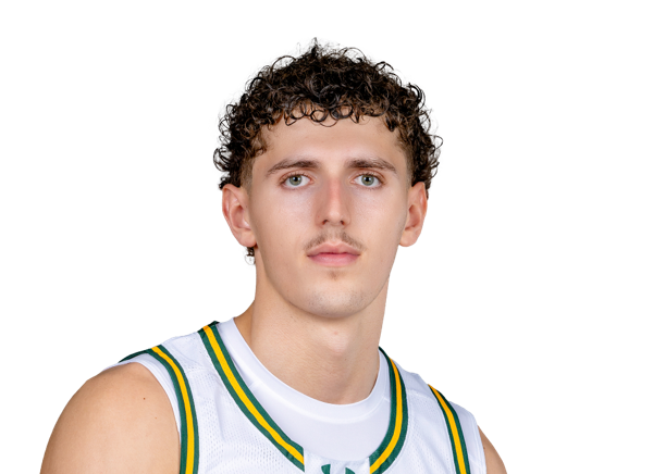 Tasman Goodrick, Basketball, Siena College