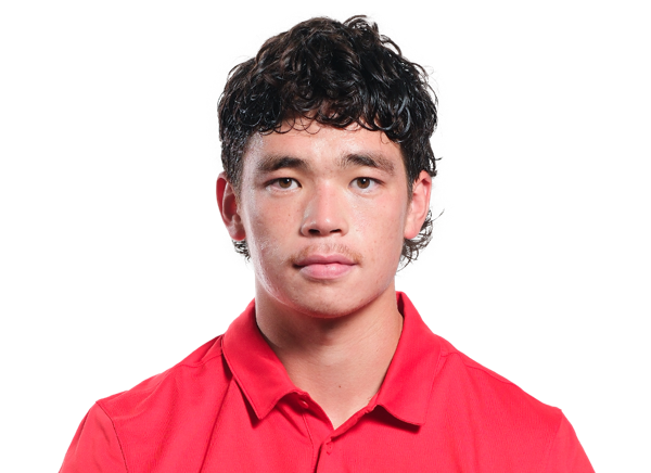 DC Pippin, Football, undefined