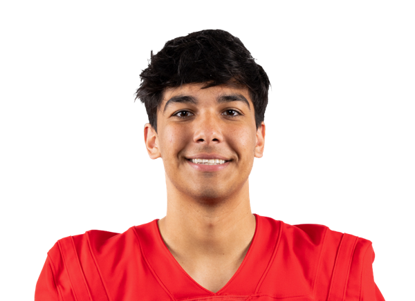 Indiana Wijay, Football, University of Houston