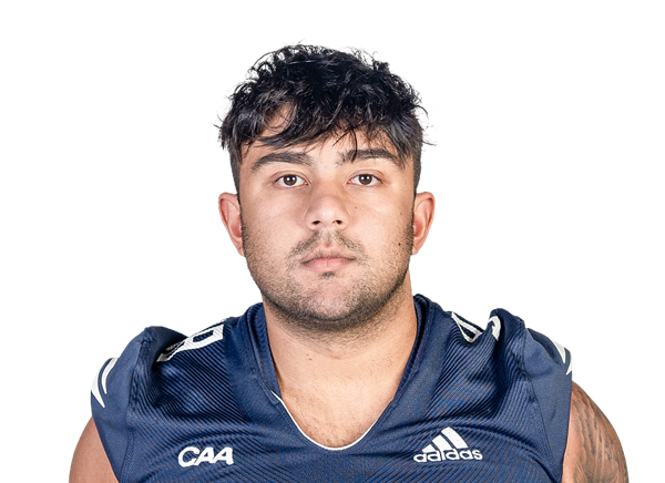 Ramin Farzaie, Football, undefined