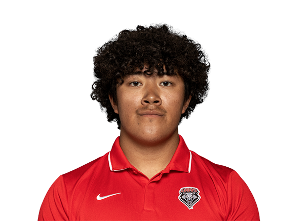 Rei Iwai, Football, undefined