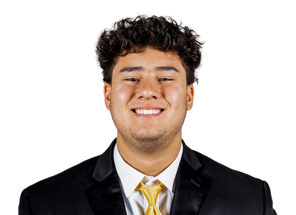 Zach Lohavichan, Football, undefined