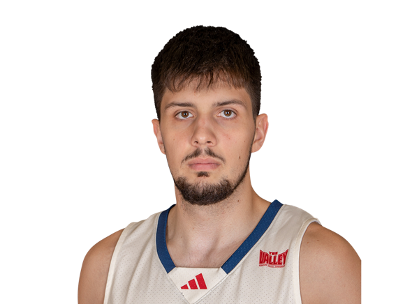 Ante Beljan, Basketball, undefined