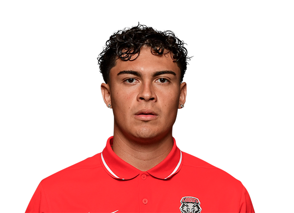 D'Sean Martinez, Football, University of New Mexico