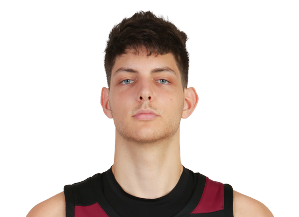 Misha Bednostin, Basketball, undefined