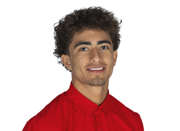 Teddy Hoffmann, Football, undefined