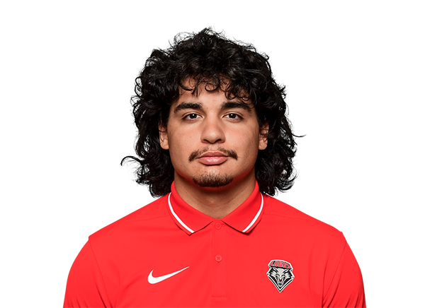 Adrian Melesio, Football, undefined