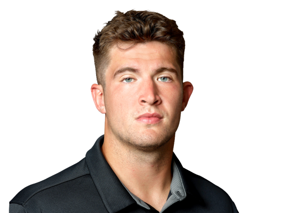 Lukas Ungar, Football, undefined