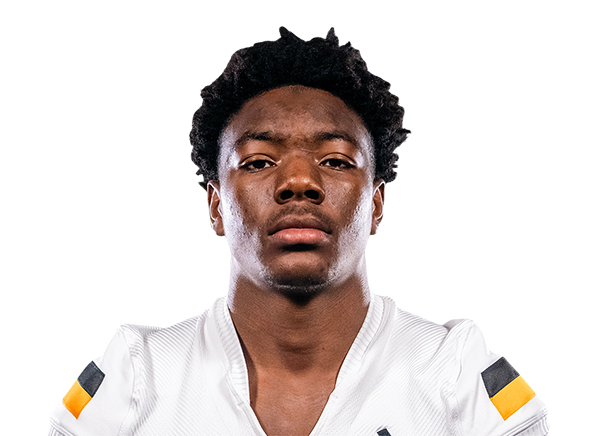 Zavian Hales, Football, University of Southern Mississippi