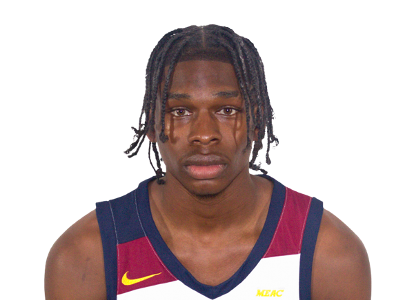 Rayniel Wright, Basketball, undefined
