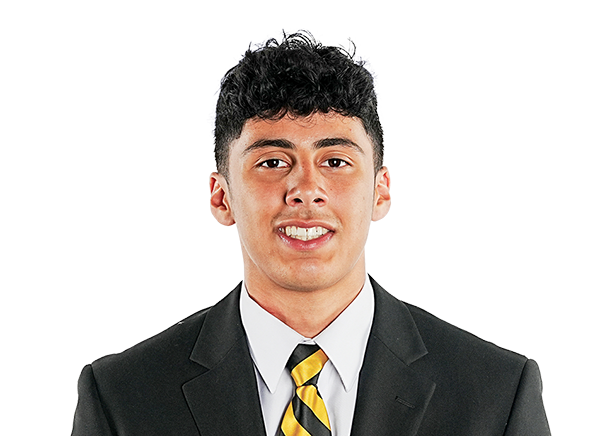 Tony Harste, Football, undefined