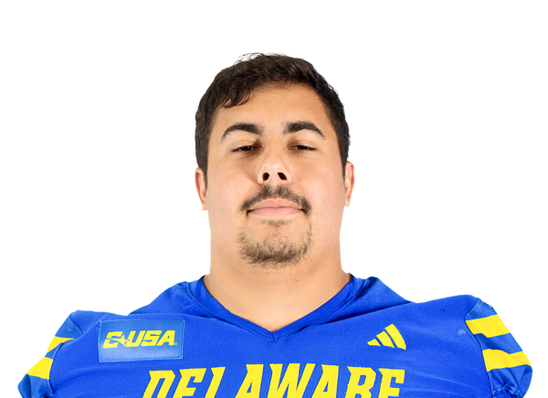 Nick Karika, Football, undefined