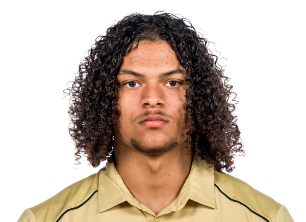 Isiah Canion, Football, University of Georgia