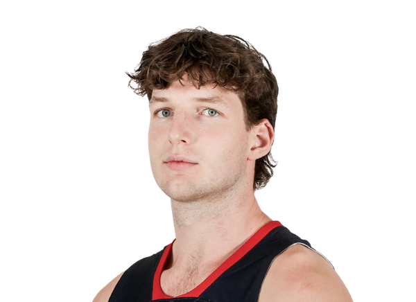 Harry Wessels, Basketball, Saint Mary's University