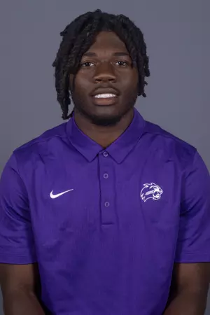 Richard Hollis, Football, Western Carolina