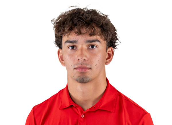 Niko Baumgartner, Football, Fresno State