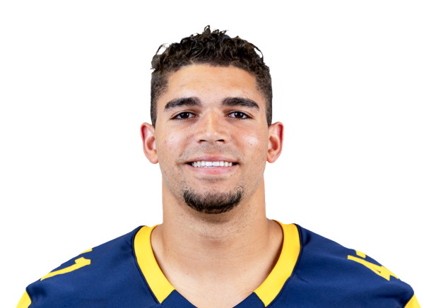 Terik Mulder, Football, Kent State