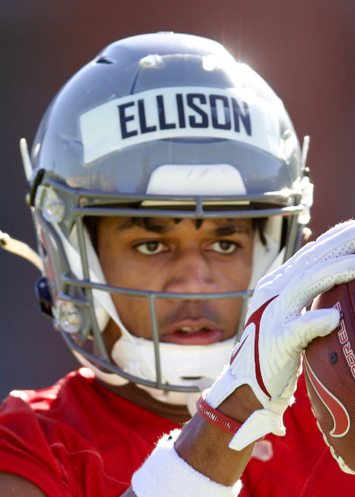 Devin Ellison photo