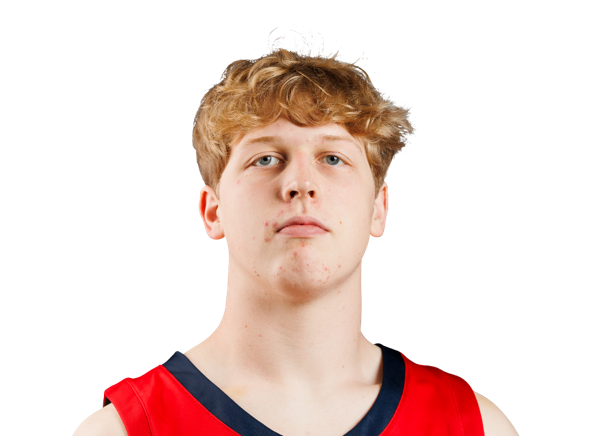 Will Gibson, Basketball, Liberty University