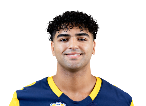 Sayed Abuhamdeh, Football, undefined