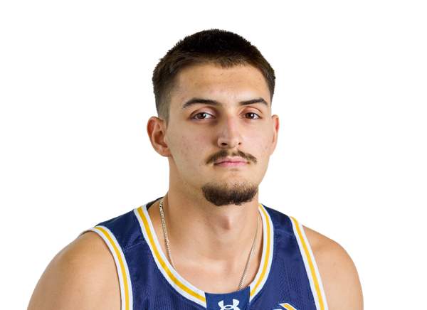 Dimitrije Vukicevic, Basketball, undefined