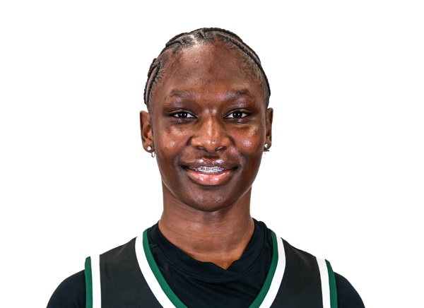 Comari Mitchell, Basketball, undefined