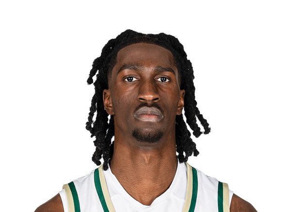 Onyx Nnani, Basketball, University of South Florida