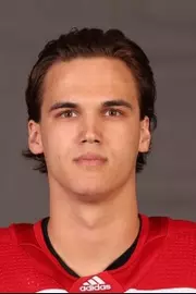 Raimonds Vitolins, Hockey, undefined