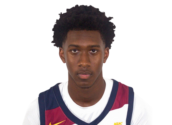 Derwin Hodge Jr., Basketball, undefined