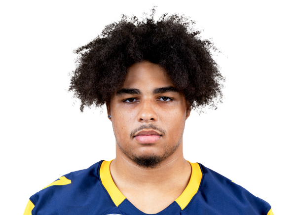 Darian Blachewicz, Football, undefined