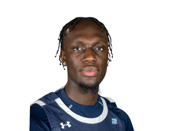 Bismark Nsiah, Basketball, Fairleigh Dickinson University