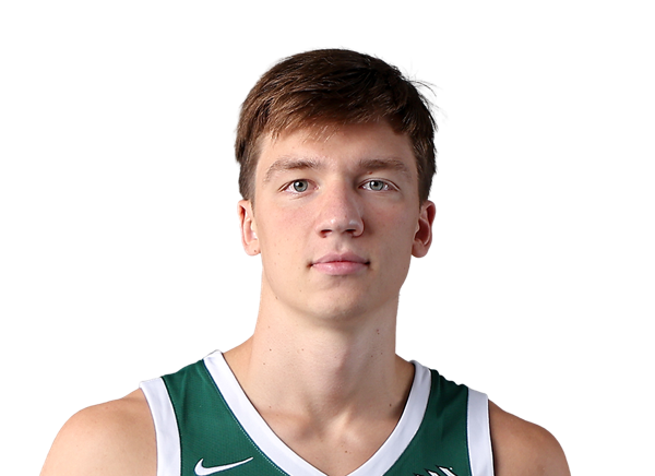 Gytis Nemeiksa, Basketball, undefined