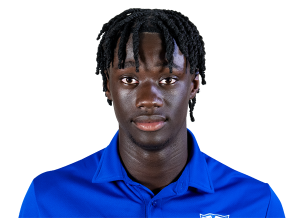 Chams Diagne photo