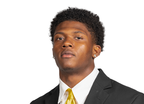 Cam Fleming, Football, Appalachian State University