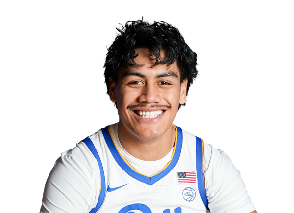 Roman Siulepa, Basketball, undefined