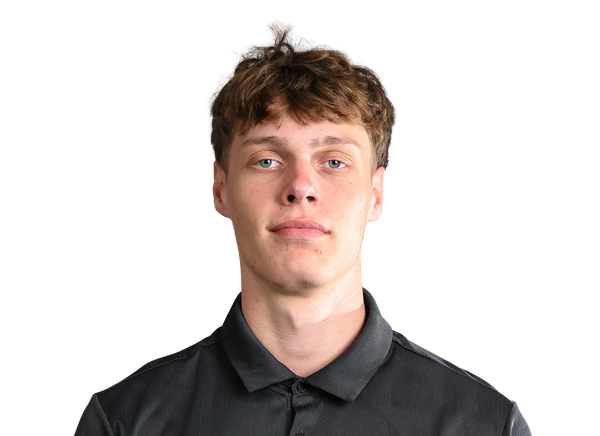 Leopold Levillain, Basketball, undefined