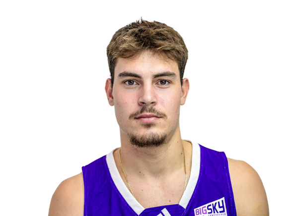 Nemanja Sarenac, Basketball, Weber State University