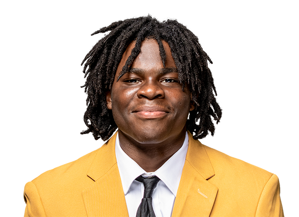 D'Avery Robinson, Football, Arkansas-Pine Bluff University