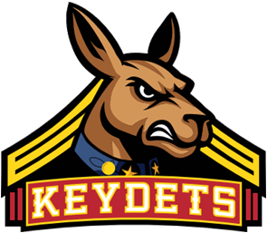 Logo of VMI