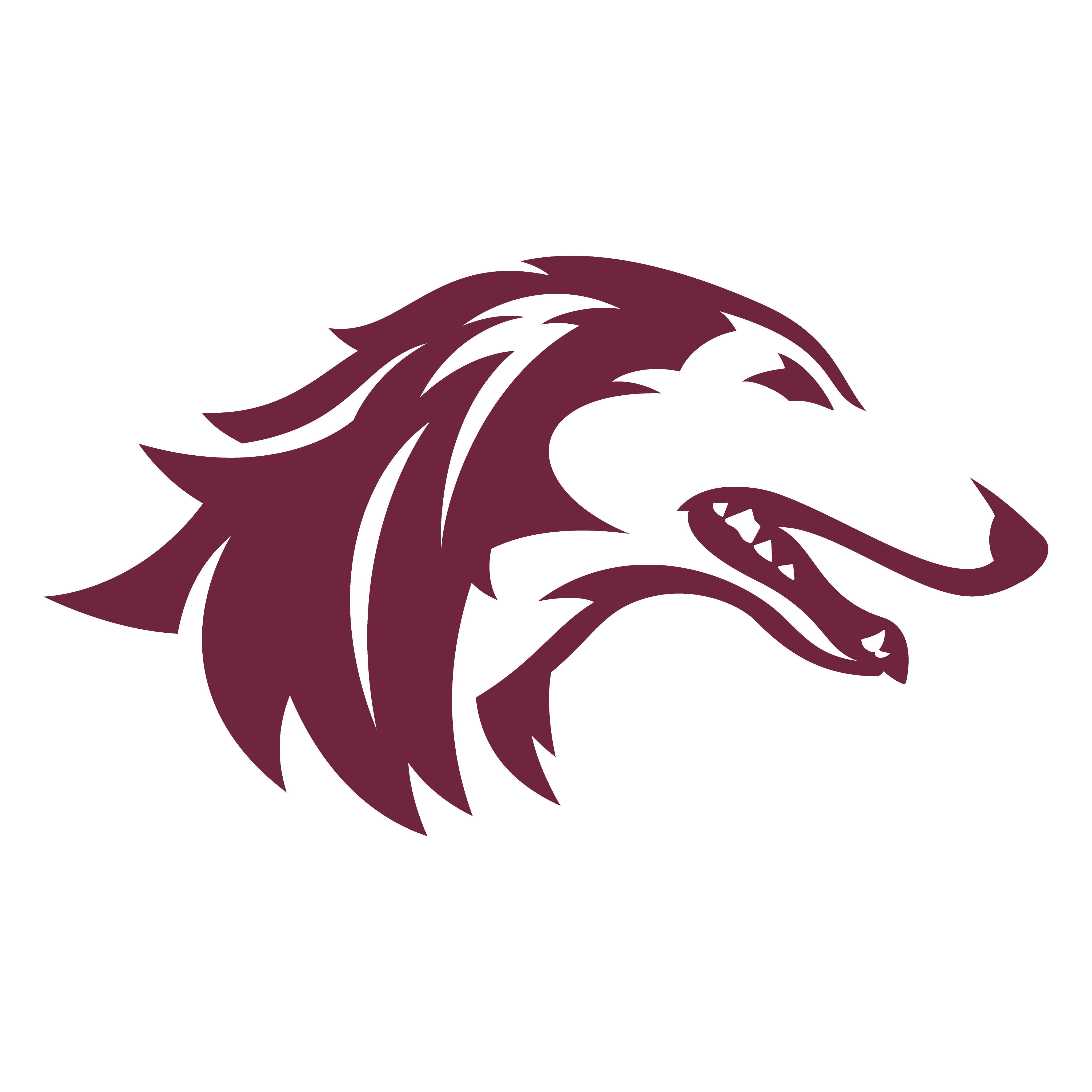 Logo of Southern Illinois