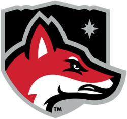 Logo of North Greenville University